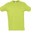 TEE-SHIRT VERT POMME